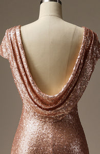 Long Rose Gold Open Back Sequined Mermaid  Evening Gowns for Lady